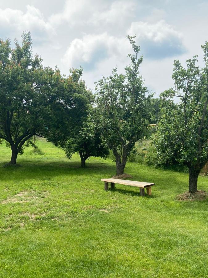 Holiday Home Znojmo W/ Wellness & Wine Zewnętrze zdjęcie